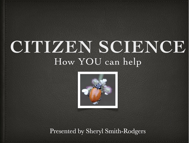 Screen Shot 2024-01-05 at 10.33.52 AM