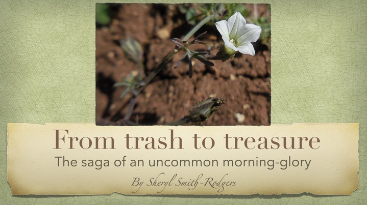 Screen Shot 2024-01-05 at 10.34.23 AM