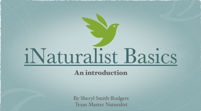 Screen Shot 2024-01-05 at 10.34.56 AM