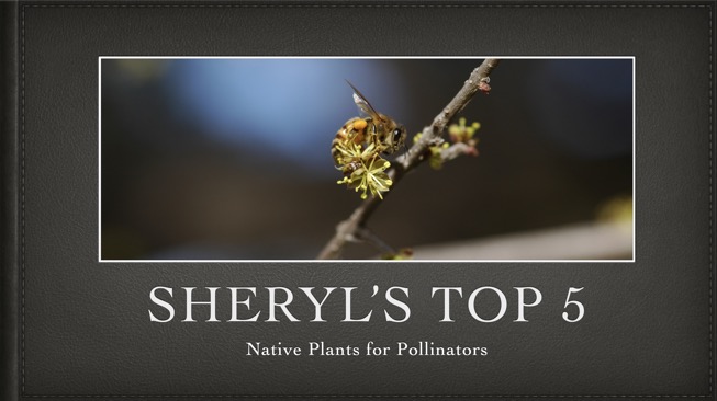 Screen Shot 2024-01-05 at 10.36.10 AM