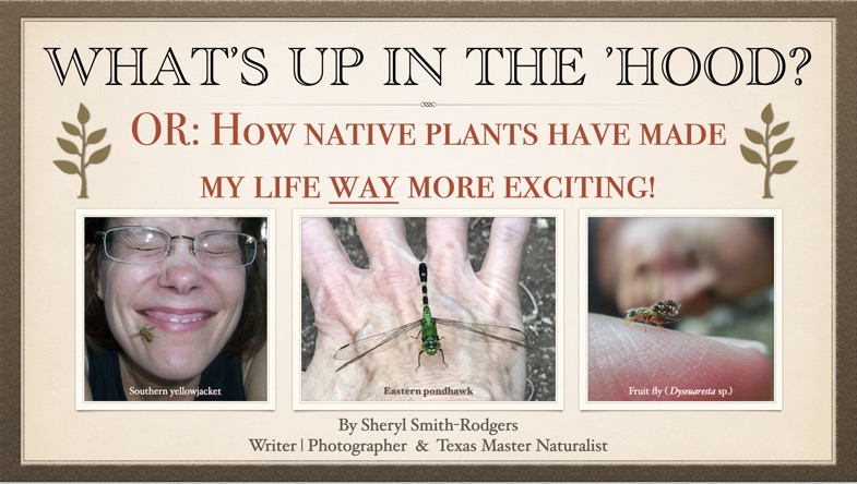 Screen Shot 2024-01-05 at 10.37.08 AM